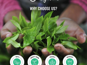 Udyan Tea - Darjeeling Spring Splendour Black Tea - 50 gm (Non-Returnable)